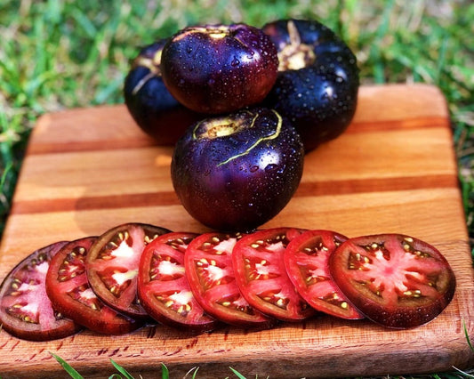 Blue Beauty Tomato qty.#10/pack