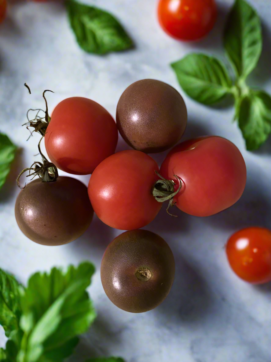 Chocolate Cherry Tomato qty.#10/pack